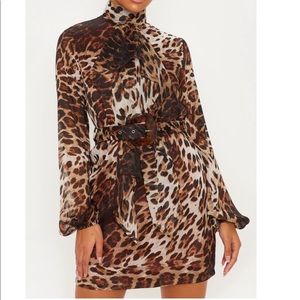 Leopard Print shift dress with waist belt